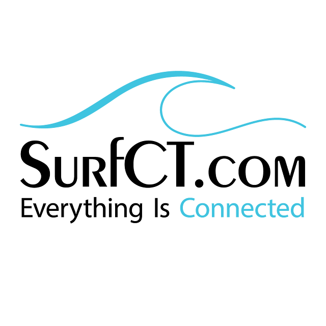 surfct logo black and blue